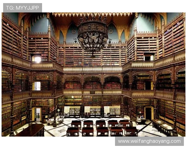 尊龙z6.com登录入口操作指南，详细介绍登录步骤与常见错误的解决方法