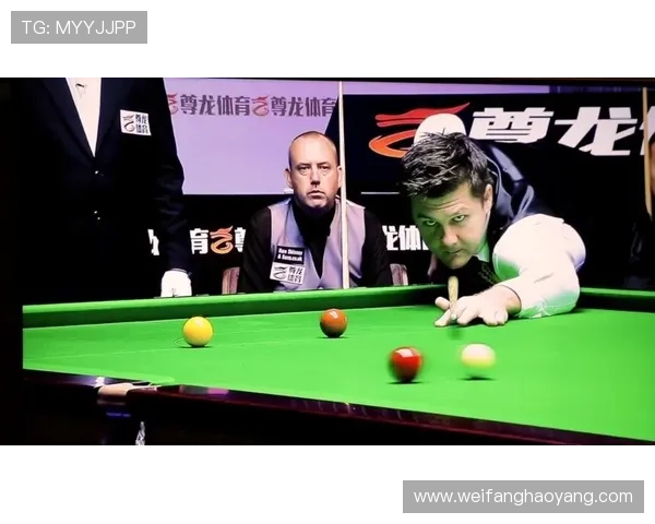 尊龙体育平台：专业的客户服务体系与快速响应机制保障用户权益