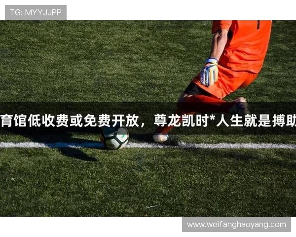 尊龙凯时体育官网：打造安全可靠的线上娱乐平台体验