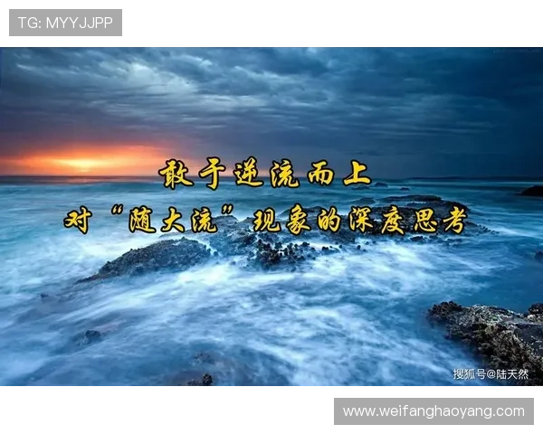 尊龙人生就是傅：探索人生哲学与成功的深度思考